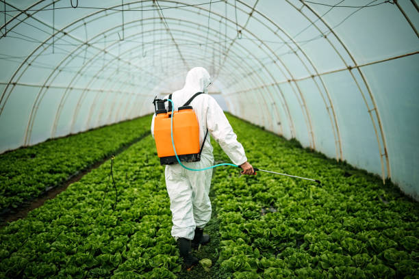 Best Local Pest Control Services  in Timpson, TX