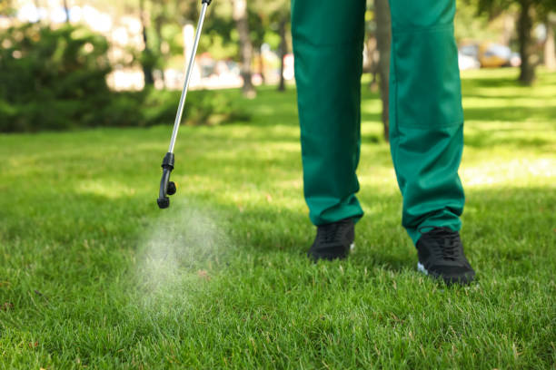 Best Pest Prevention Services  in Timpson, TX