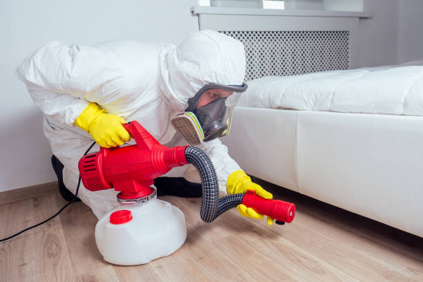 Best Local Pest Control Services  in Timpson, TX