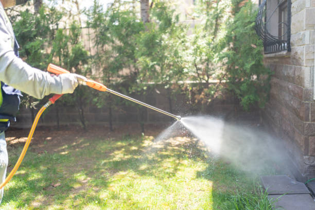 Best Pest Removal Services  in Timpson, TX