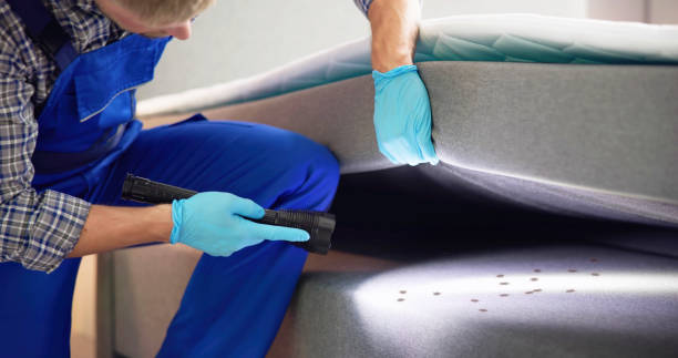 Best Wasp Removal Services  in Timpson, TX