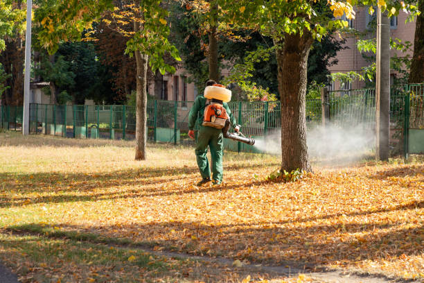 Best Affordable Pest Control Services  in Timpson, TX