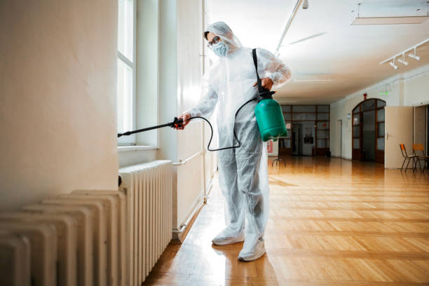 Best Pest Prevention Services  in Timpson, TX